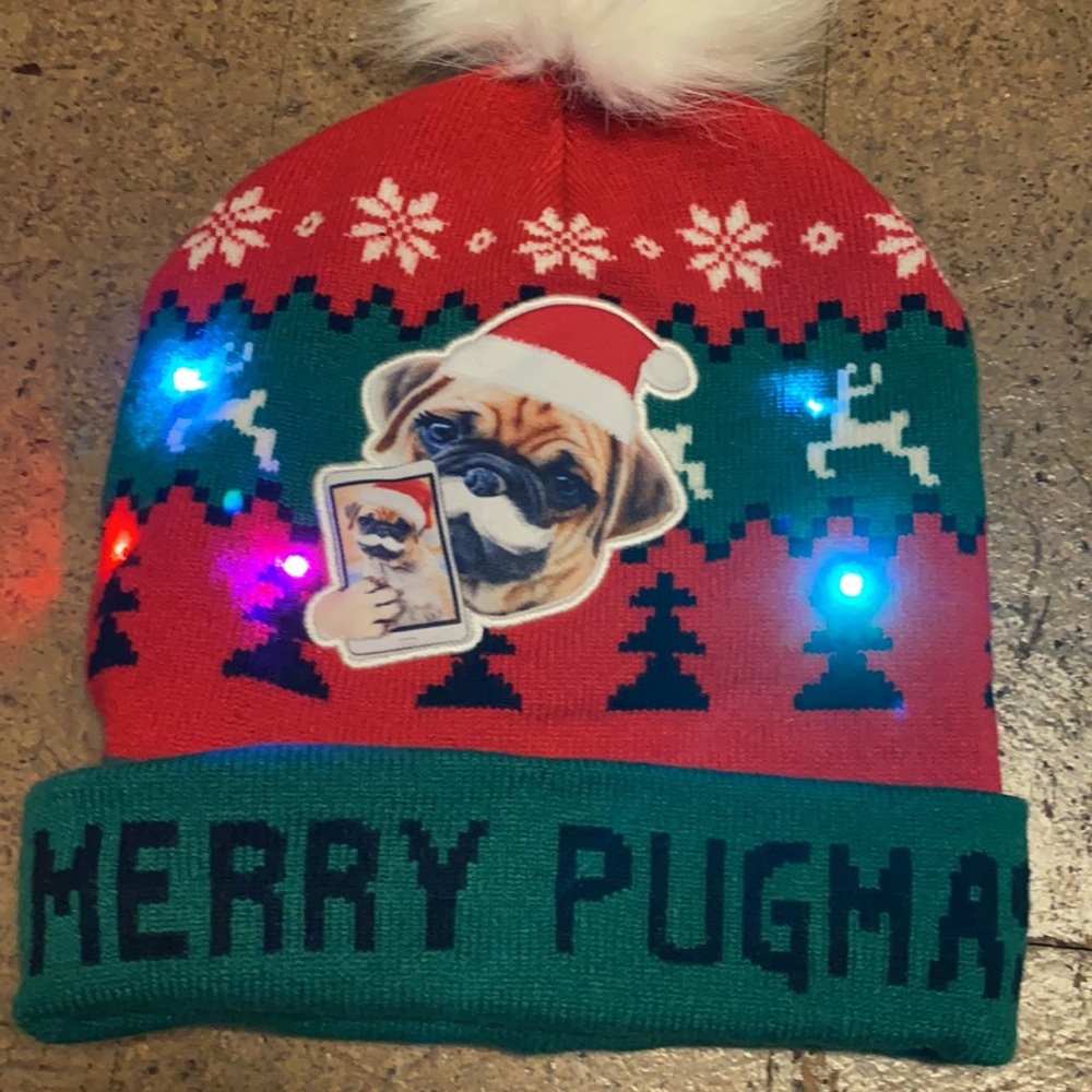 Merry Pug Mas Lighted Hat